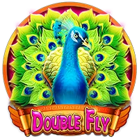Double Fly