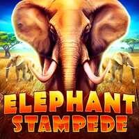 Elephant Stampede